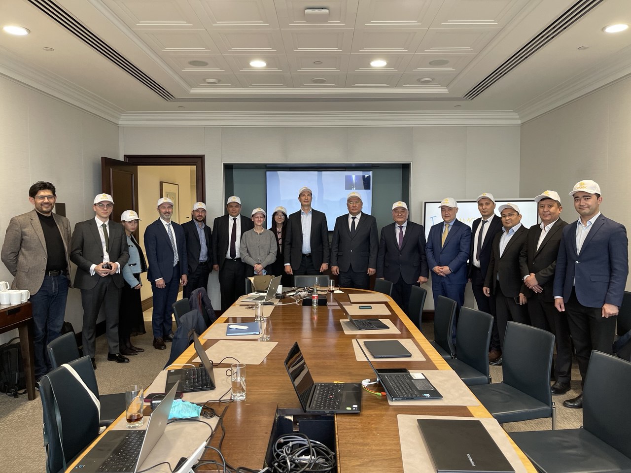 Investor Participation and Joint Lead Managers